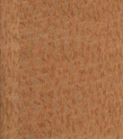 lacewood.jpg